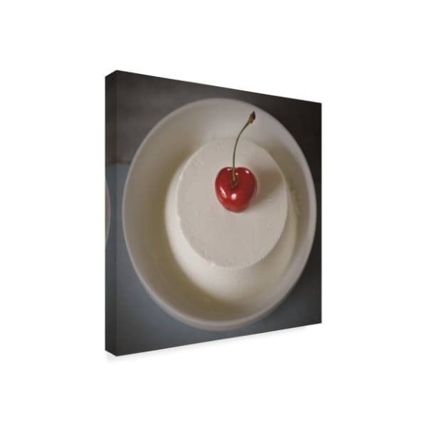 Christine Sainte-Laudy 'Cherry On The Pudding' Canvas Art,24x24